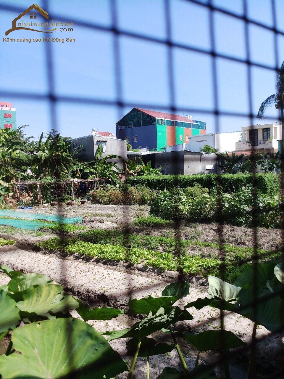 Bán nhanh căn  nhà hẻm đường số 4 kđt lê hồng phong nha trang