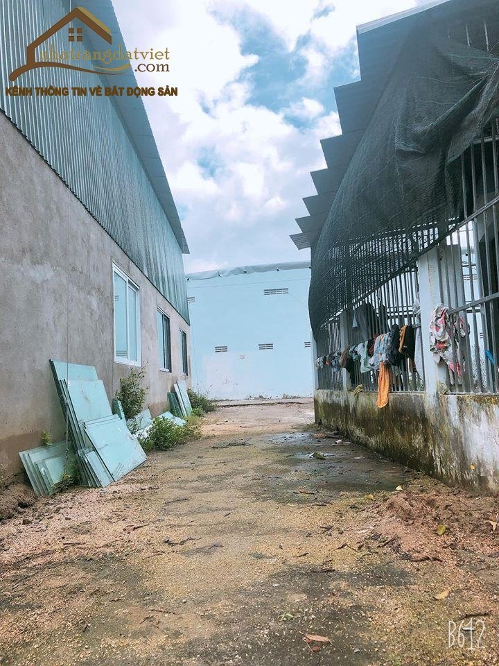 Bán Đất 1 tỷ 3 Cách CF Ngọc Bích, Vĩnh Ngọc Chỉ 50m