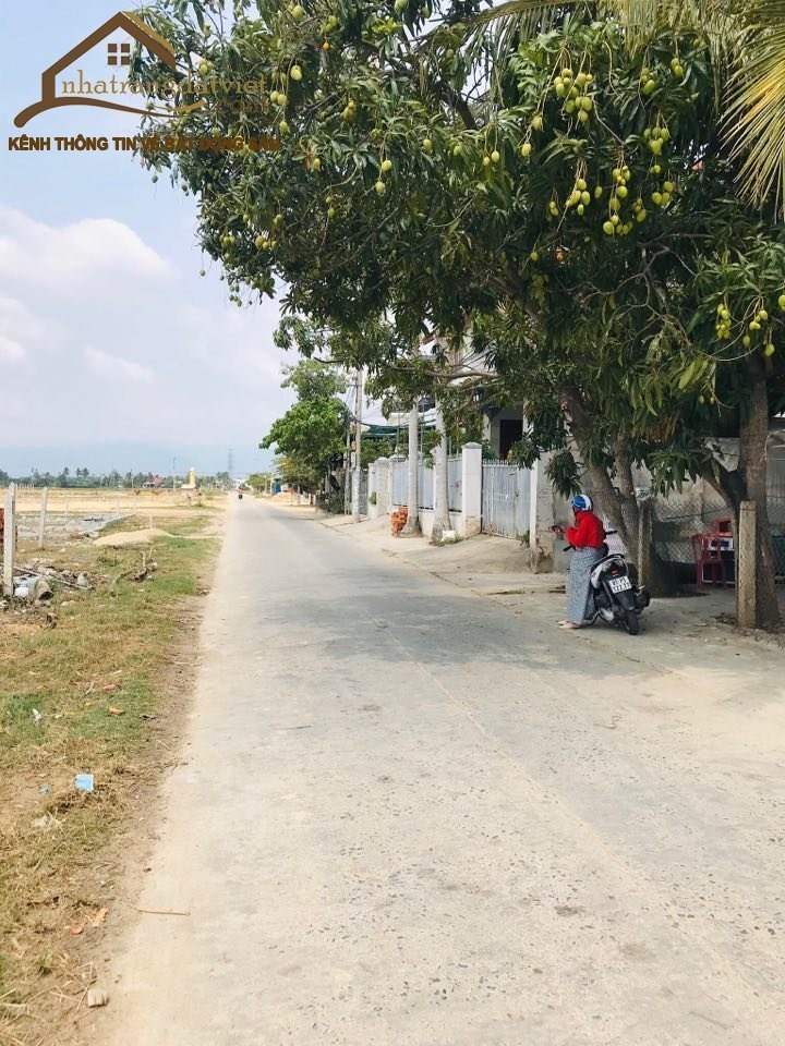 Tổng hợp lô đất mặt tiền thôn Trung - Vĩnh Phương - Nha Trang