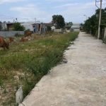 Bán đất đường ô tô Phước Điền gần UBND và trạm Y tế xã Phước Đồng