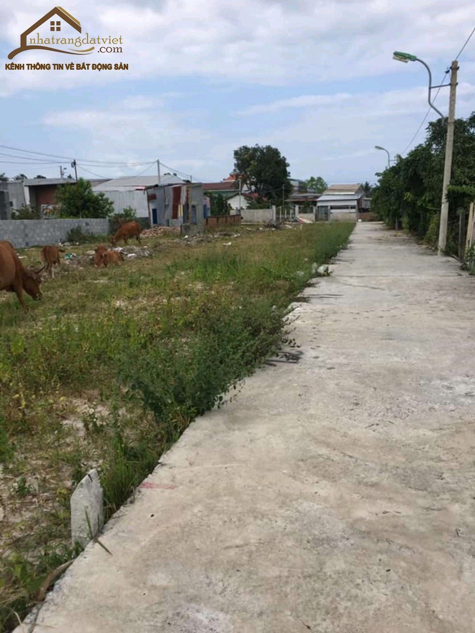 Bán đất đường ô tô Phước Điền gần UBND và trạm Y tế xã Phước Đồng