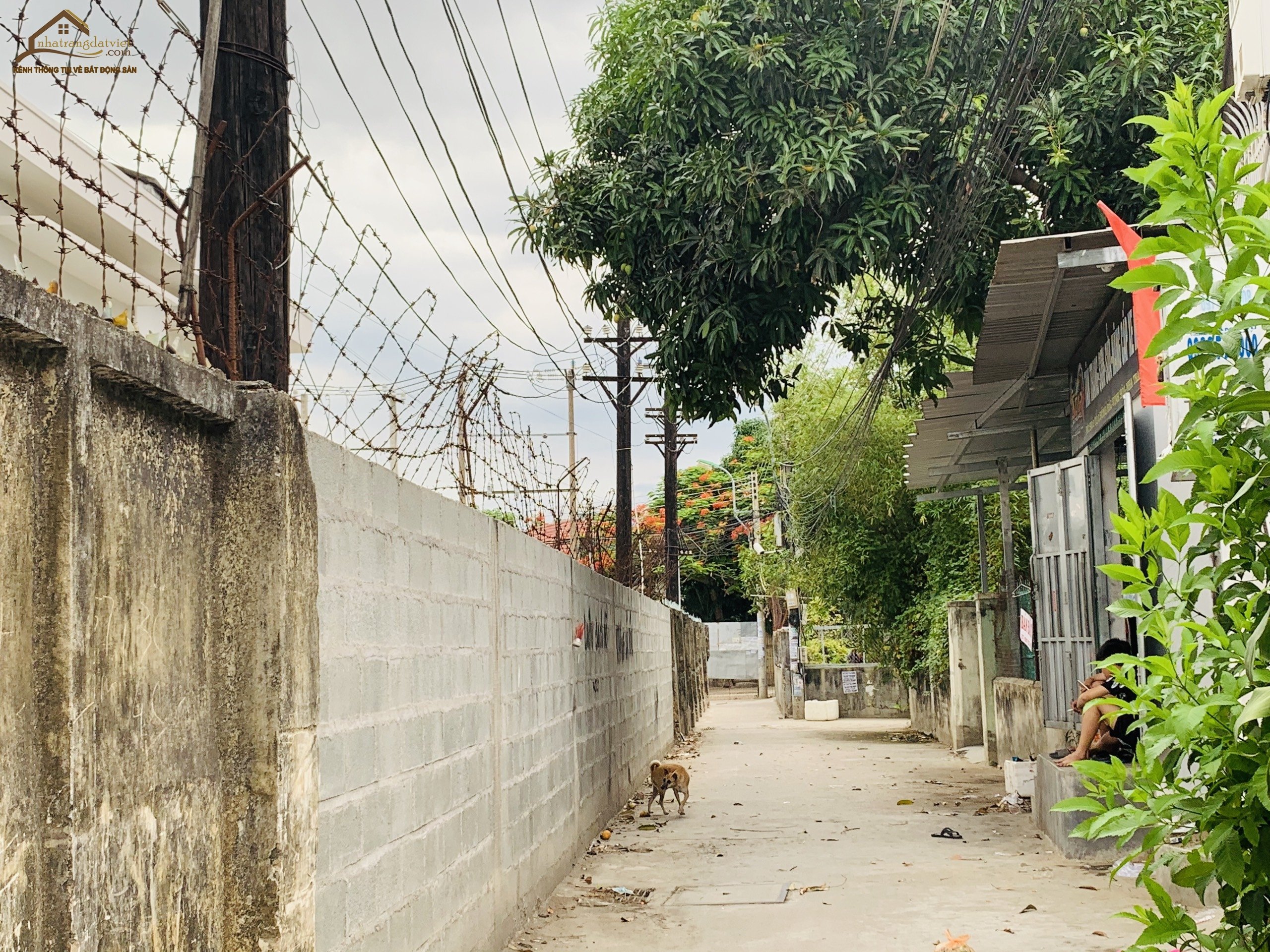 Cần bán căn nhà 96,7m2 bên cạnh công ty Dược Vĩnh Hải, giá 2.3 tỷ