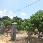 5900m2 Đất trồng cây lâu năm Suối Tân, Cam Lâm, Khánh Hòa