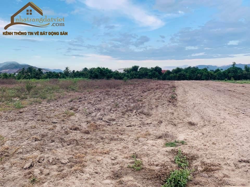 BÁN ĐẤT LÀM VƯỜN GIÁ RẺ - DIÊN PHƯỚC, DIÊN KHÁNH - CÓ THỂ PHÂN LÔ.XÂY NHÀ YẾN!