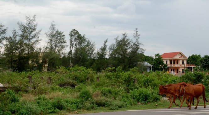 Khổ vì quy hoạch treo, 12 năm mới làm được đoạn đường 300m