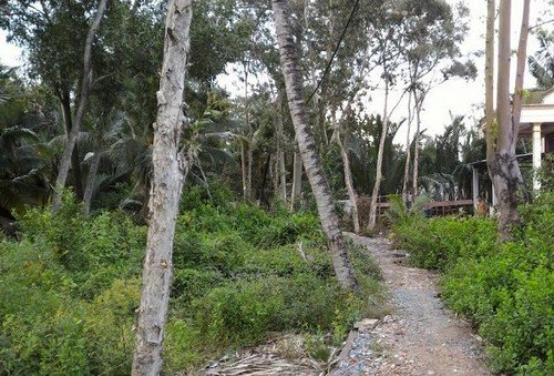 Nếm “trái đắng” vì lỡ tin... chủ đầu tư