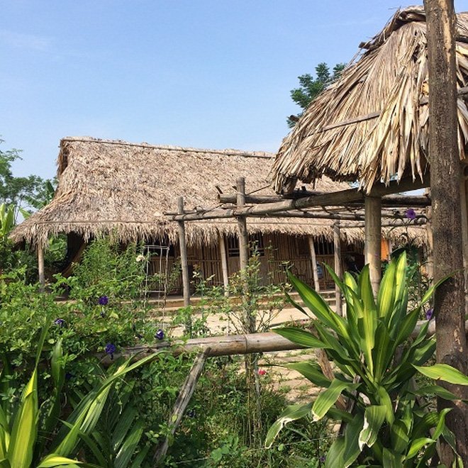 Hà Nội: Xử lý nghiêm "nhà mọc trái phép" tại bãi giữa sông Hồng