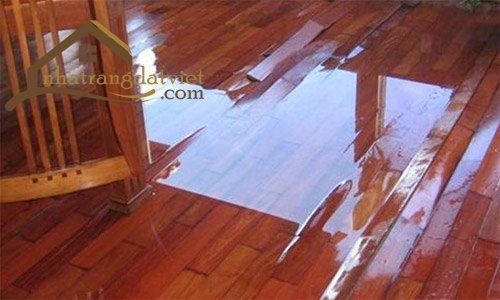 Xử lý sự cố nước mưa tràn từ tầng thượng gây hỏng đồ đạc?