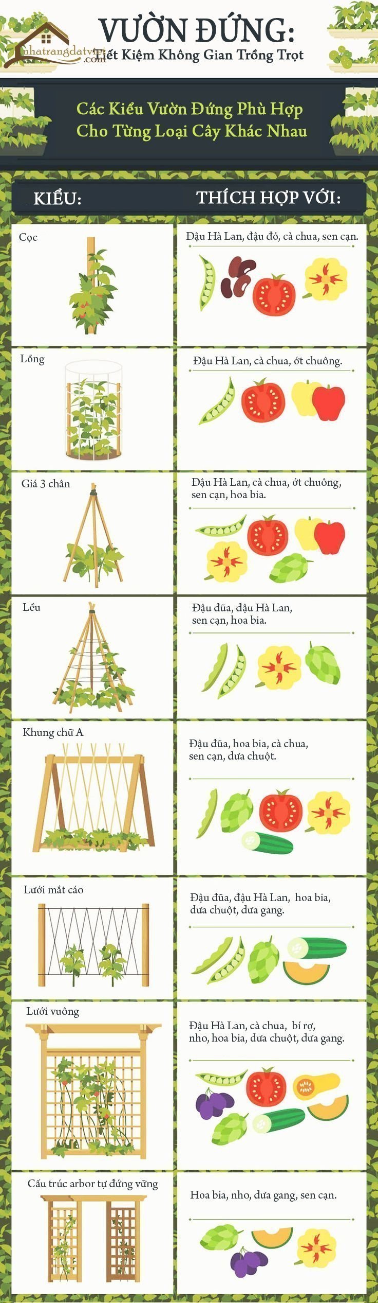 Những kiểu vườn đứng phù hợp không gian nhà nhỏ