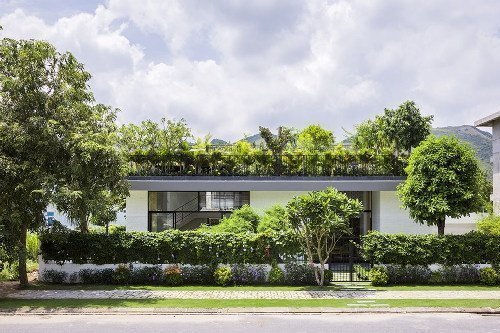 Căn nhà có vườn cây trên mái độc đáo ở Nha Trang